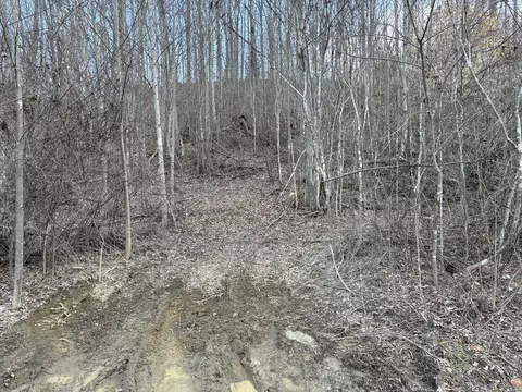 1251 Sarvice Hollow Rd, Irvine, KY 40336