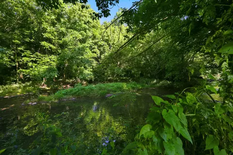View/Area - 115 River Run Ct, Georgetown, KY 40324 photo 1 of 3