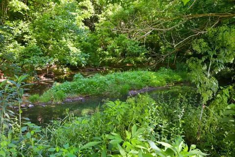 View/Area - 115 River Run Ct, Georgetown, KY 40324 photo 3 of 3