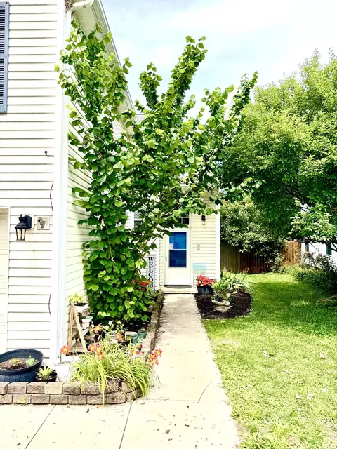 115 River Run Ct, Georgetown, KY 40324