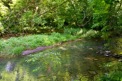 View/Area - 115 River Run Ct, Georgetown, KY 40324 photo 2 of 3