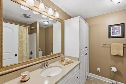 Bath - 207 Augusta Dr, Georgetown, KY 40324 photo 7 of 8