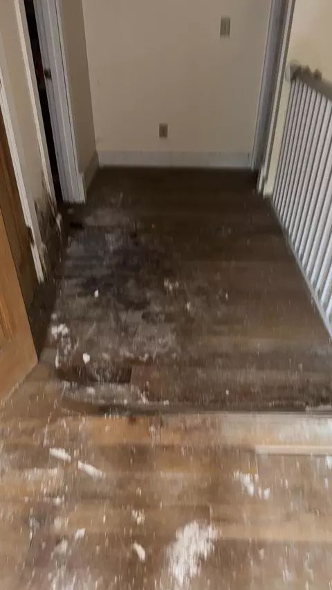 Entry Way - 875 Upper Craney Rd, Morehead, KY 40351 photo 6 of 7