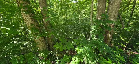 2082 Roberts Bend Rd, Burnside, KY 42519 photo 3