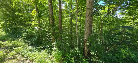 2082 Roberts Bend Rd, Burnside, KY 42519 photo 4