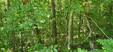 0 Lot 1 Roberts Bend Rd, Burnside, KY 42519