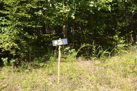 1 Rolling Mills Rd, Eddyville, KY 42038