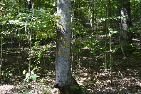 2 Rolling Mill Rd, Eddyville, KY 42038