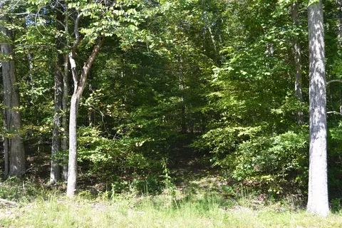3 Rolling Mill Rd, Eddyville, KY 42038