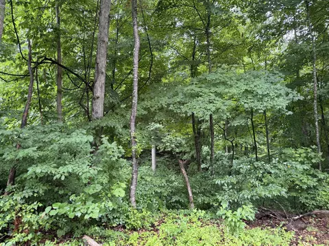 lot3 George Hardwick Dr, Bronston, KY 42518