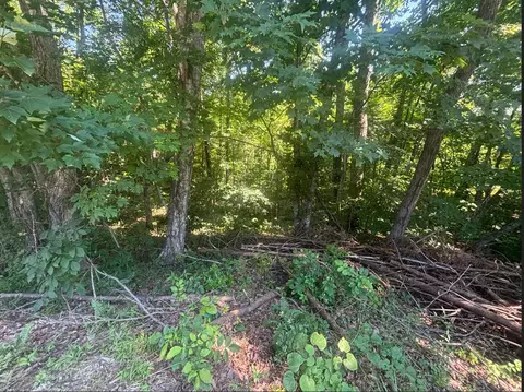 9999 Roberts Bend Rd, Burnside, KY 42519 photo 2