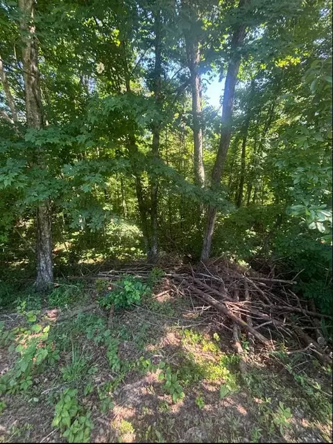 9999 Roberts Bend Rd, Burnside, KY 42519 photo 4
