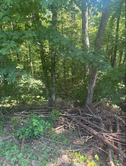 9999 Roberts Bend Rd, Burnside, KY 42519 photo 3