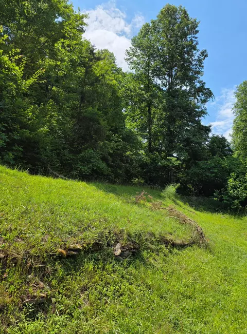19 Harlan Ln, Buckhorn, KY 41721