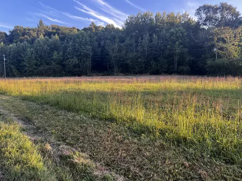 2240 Patty Ridge Rd, Russell Springs, KY 42642