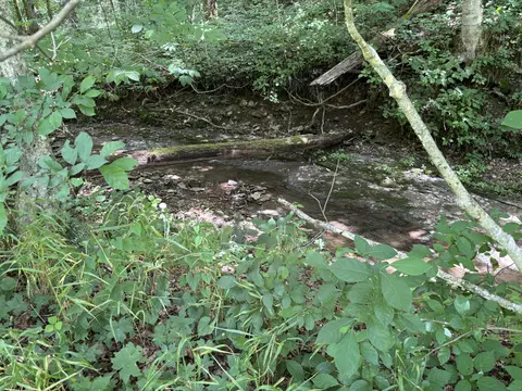 13019 Kentucky 70, Yosemite, KY 42566 photo 30