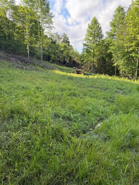 110 Dean Rd, Mckee, KY 40447 photo 1