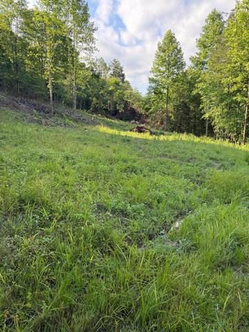 110 Dean Rd, Mckee, KY 40447