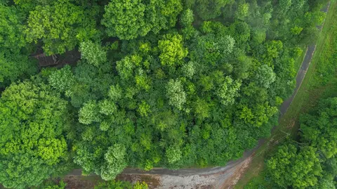 911 Bradley Rd, Albany, KY 42602