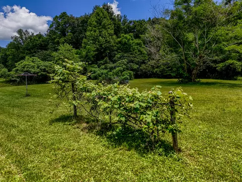 Exterior - 460 Rockfork Rd, Morehead, KY 40351 photo 11 of 13
