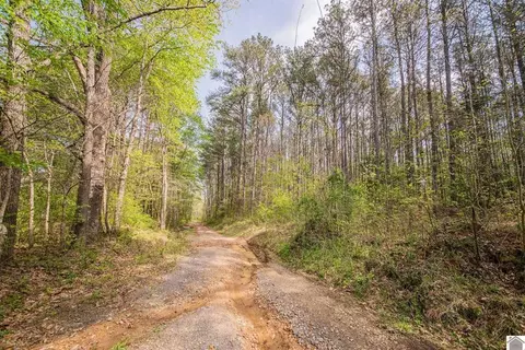 84 Launch Ln, Murray, KY 42071 photo 8