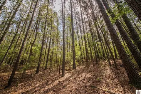 84 Launch Ln, Murray, KY 42071 photo 9