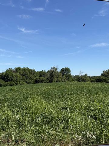 7825 Mount Carmel Rd, Flemingsburg, KY 41041