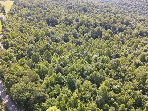 1407 Denton Phelps Rd, Somerset, KY 42501