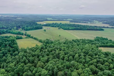 View/Area - 976 Buggs Branch Rd, Marion, KY 42064 photo 4 of 7