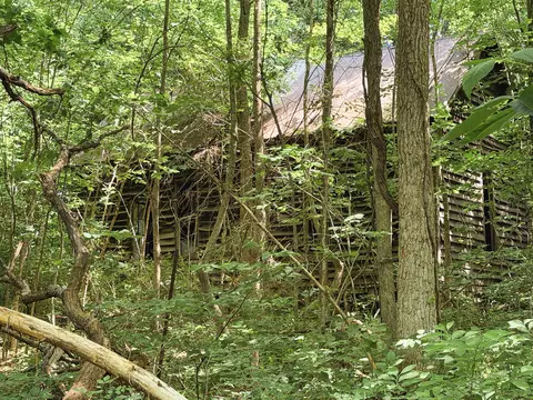 Exterior - 976 Buggs Branch Rd, Marion, KY 42064 photo 13 of 21