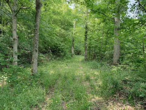 Other - 976 Buggs Branch Rd, Marion, KY 42064 photo 7 of 21