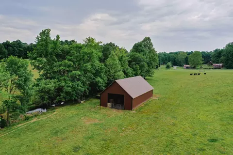 Other - 976 Buggs Branch Rd, Marion, KY 42064 photo 4 of 21