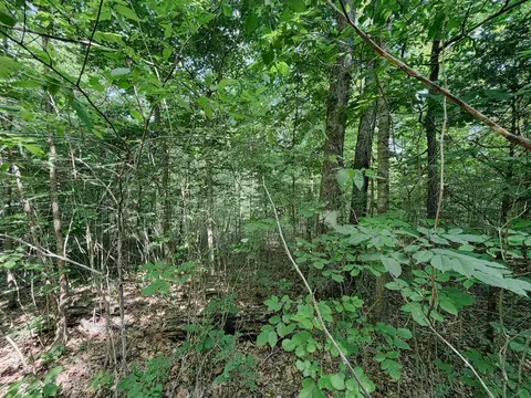Exterior - 976 Buggs Branch Rd, Marion, KY 42064 photo 9 of 21