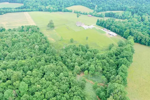 View/Area - 976 Buggs Branch Rd, Marion, KY 42064 photo 6 of 7