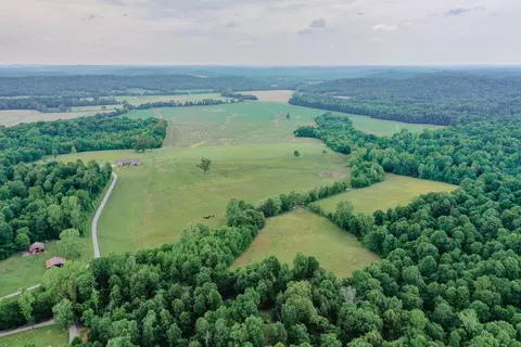 View/Area - 976 Buggs Branch Rd, Marion, KY 42064 photo 3 of 7