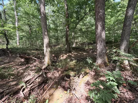 Exterior - 976 Buggs Branch Rd, Marion, KY 42064 photo 12 of 21