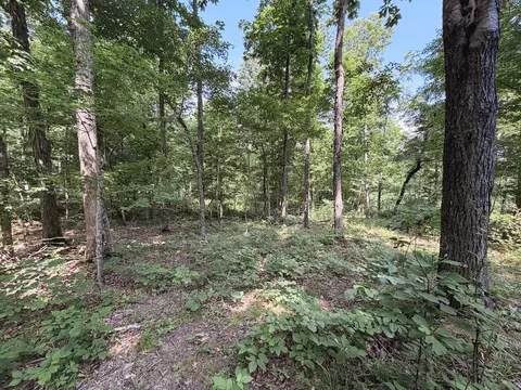 Exterior - 976 Buggs Branch Rd, Marion, KY 42064 photo 11 of 21