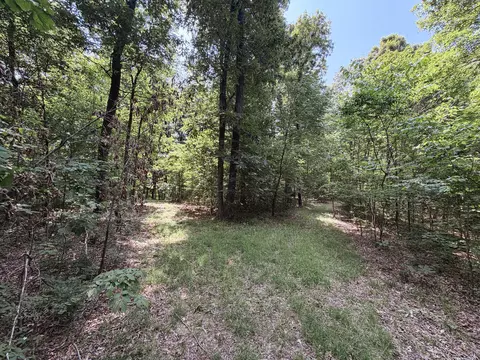 Exterior - 976 Buggs Branch Rd, Marion, KY 42064 photo 10 of 21