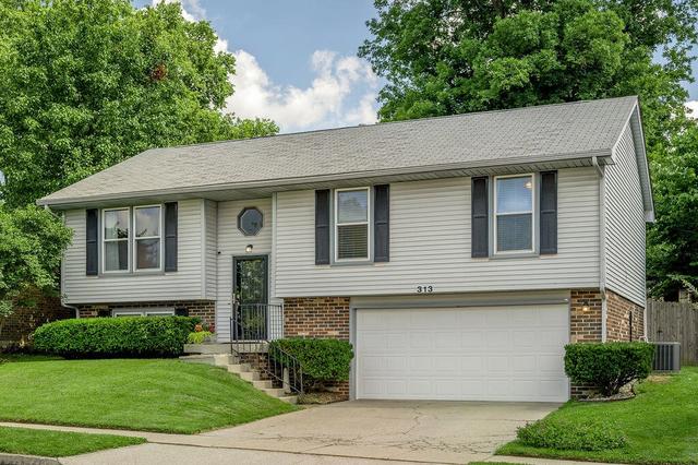 313 Fox Harbour Dr, Lexington, KY 40517