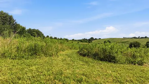 435 Stone Rd, Paris, KY 40361 photo 11