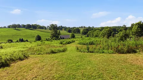435 Stone Rd, Paris, KY 40361 photo 9