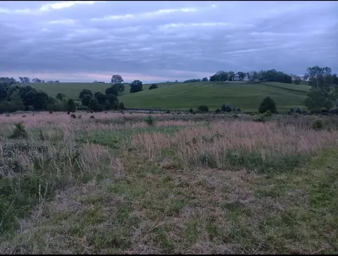 435 Stone Rd, Paris, KY 40361