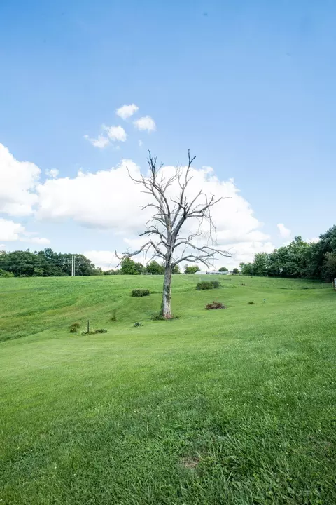 Exterior - 320 Alice Roy Rd, Windsor, KY 42565 photo 15 of 39