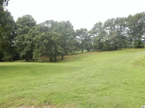 2510 Olive Hamlett Rd, Benton, KY 42025