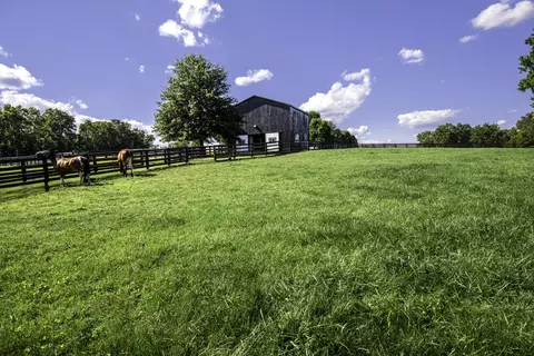 650 Delaney Ferry Rd, Versailles, KY 40383