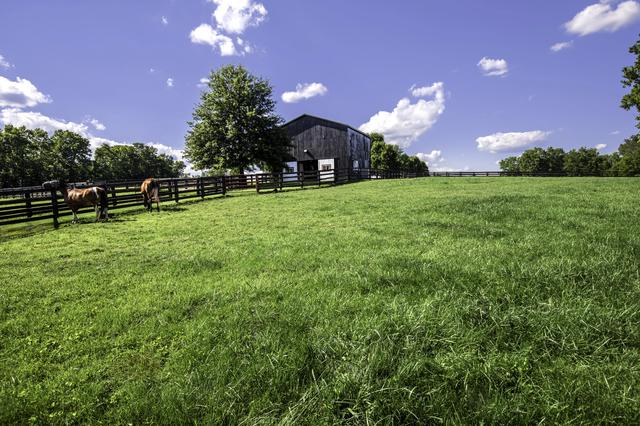 650 Delaney Ferry Rd, Versailles, KY 40383