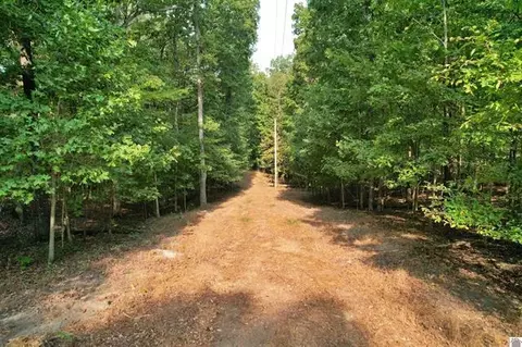 1137 Steamboat Rd, Gilbertsville, KY 42044