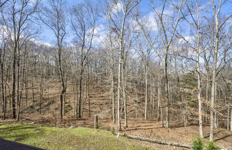 81 Pier Ln, Murray, KY 42071 photo 32