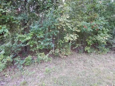 lot44 Forest Ln, Eddyville, KY 42038