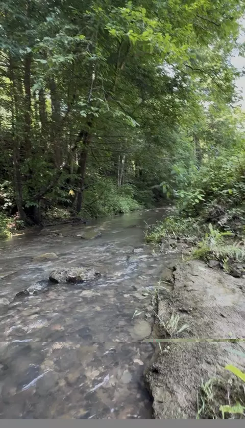 Other - 4 Lacy Ln, Campton, KY 41301 photo 3 of 3